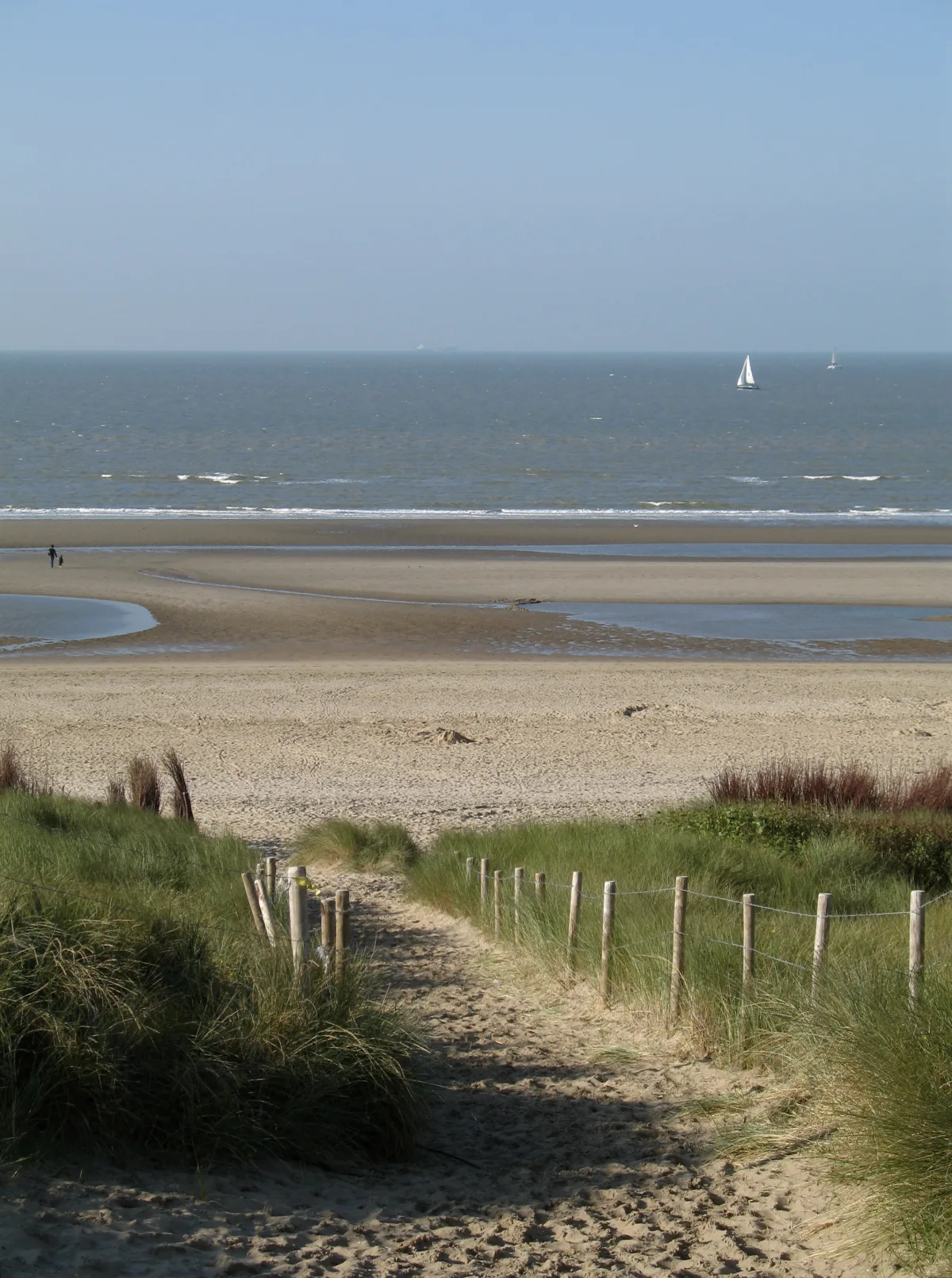 Dünenweg zum breiten Nordseestrand von De Haan